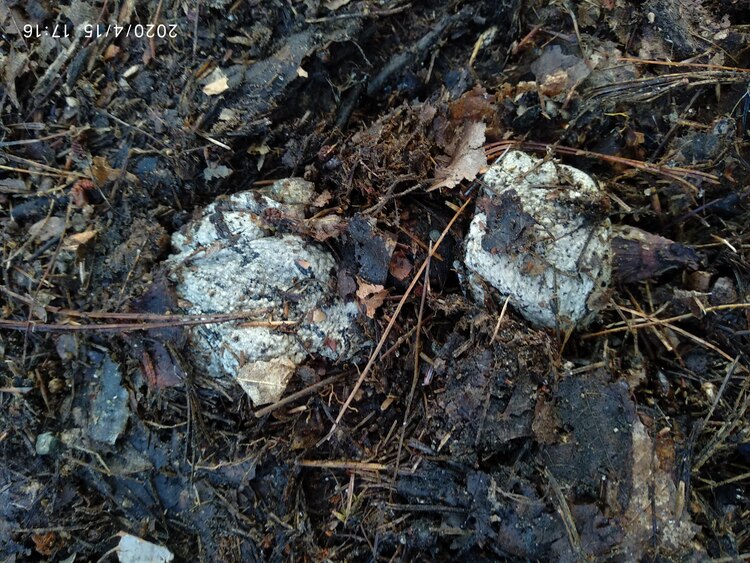 20-0415-171605: stopped before these guys got disturbed enought to leave