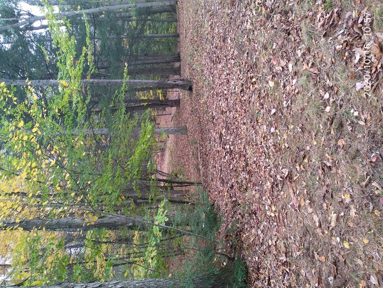 20-1016-105719: looking back toward the ramp to the upper parking area