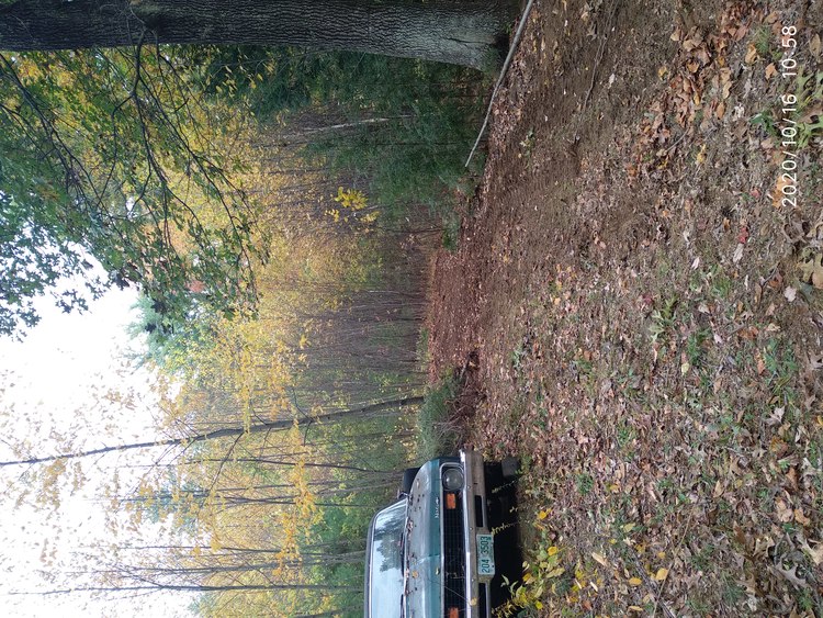 20-1016-105817: beginning of woods path